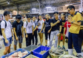 Photo-39