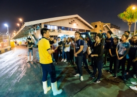 Photo-42