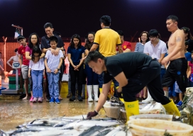 Photo-19
