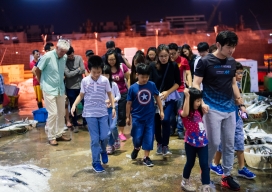 Photo-31