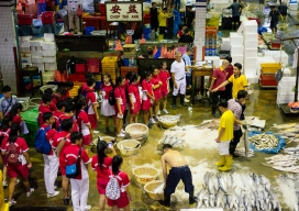 Photo-47