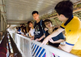 Photo-41
