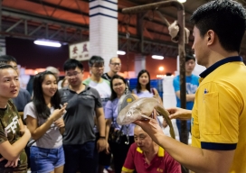 Photo-30
