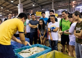 Photo-35
