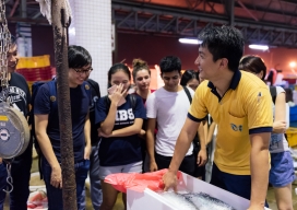 Photo-38
