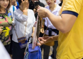 Photo-11