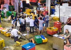 Photo-17