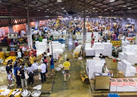 Photo-19