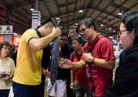 Photo-26