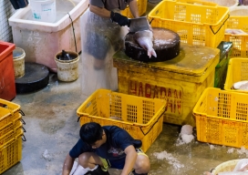 Photo-38