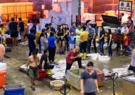 Photo-12
